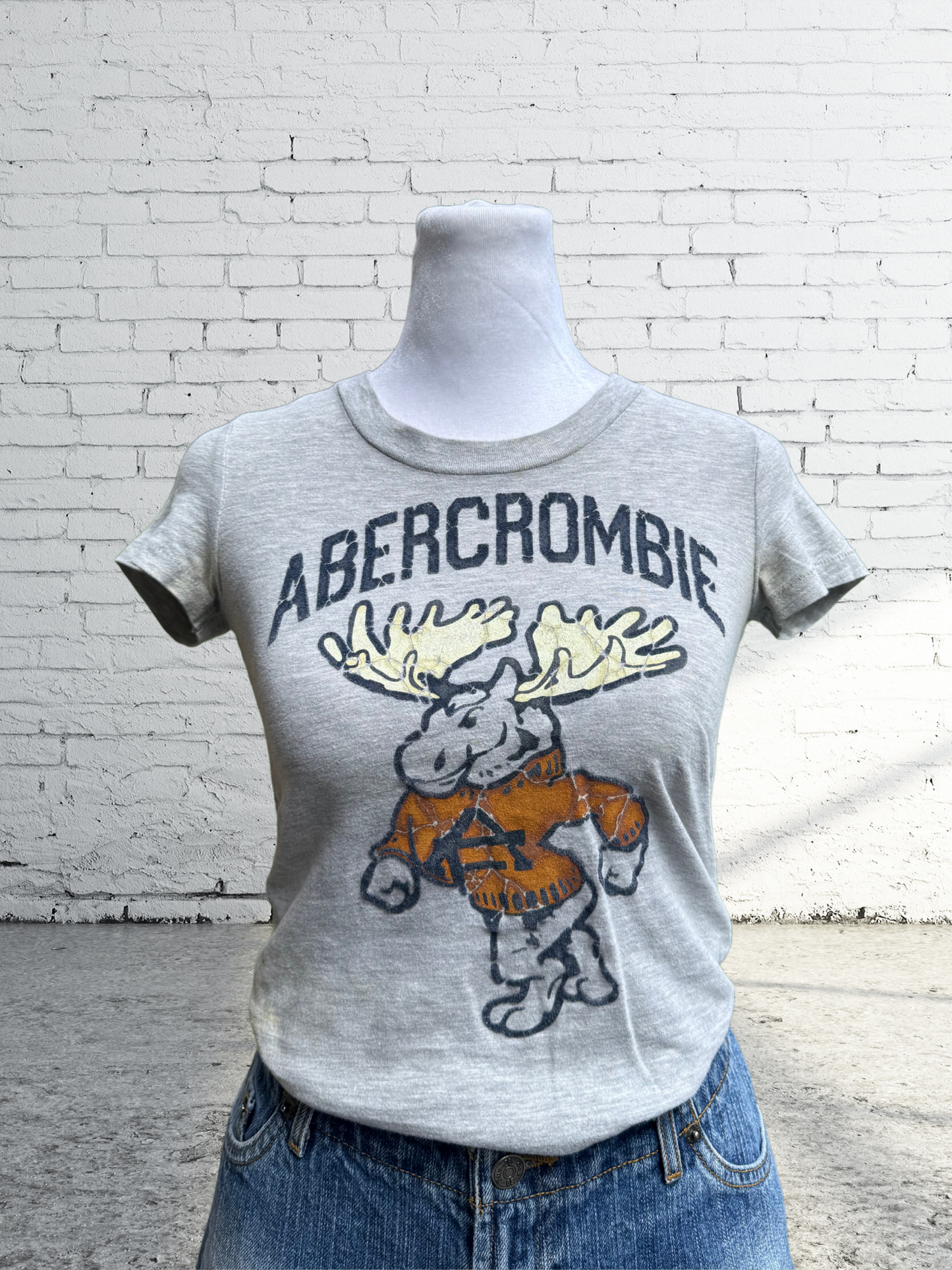 Vintage Y2K 2000s Abercrombie Baby Tee