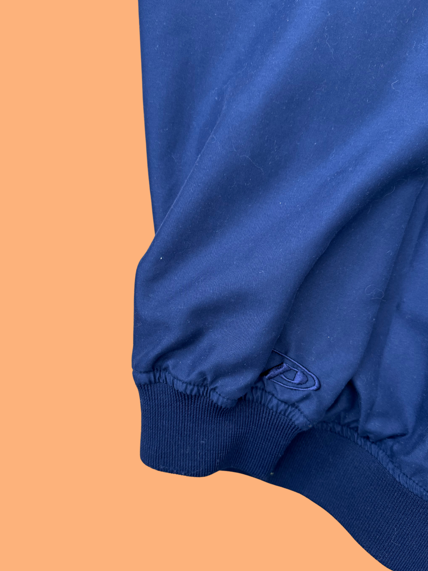 Vintage University of Illinois Windbreaker