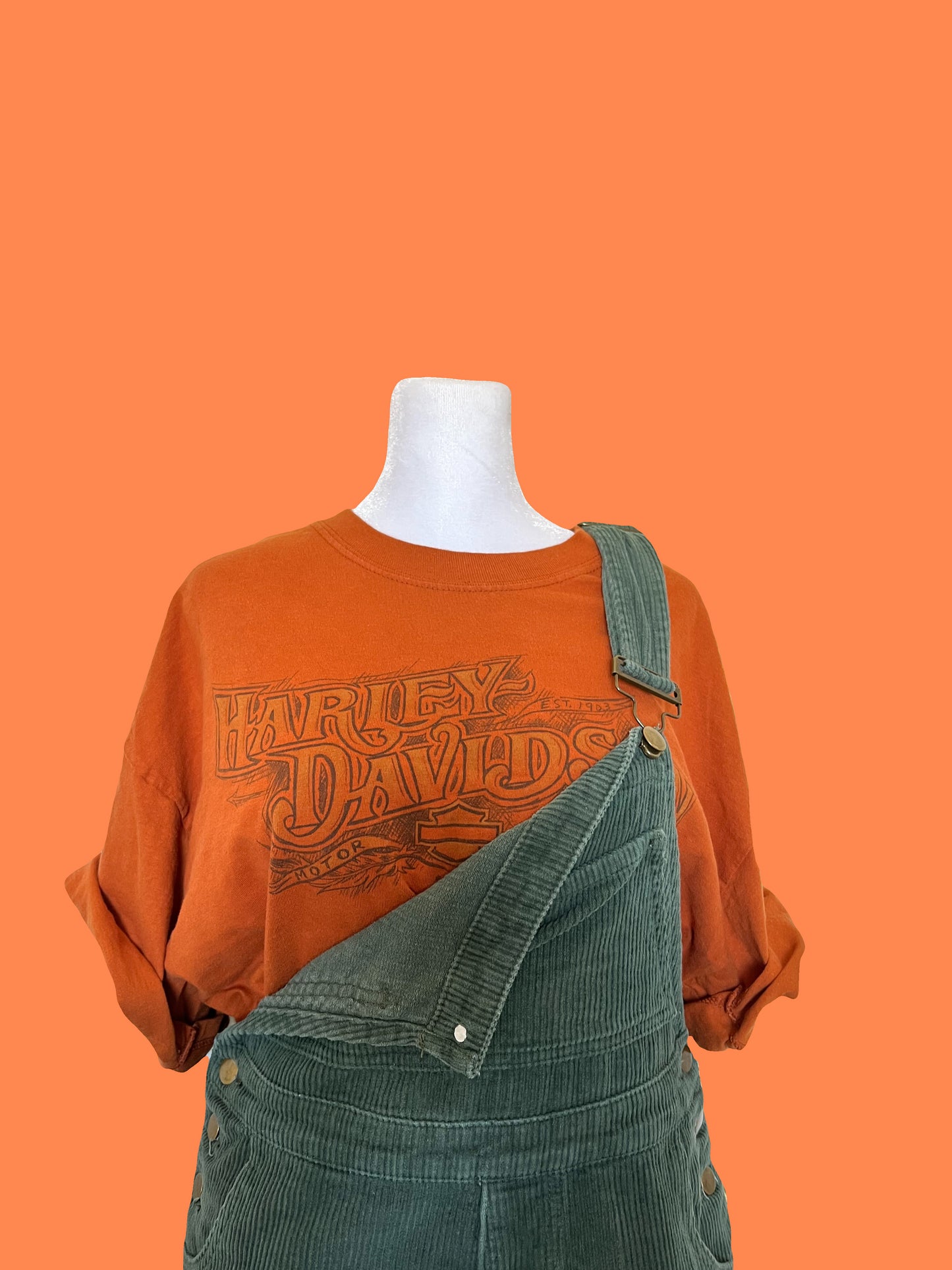 Vintage 2004 Harley Davidson T-Shirt: Denali Park, Alaska