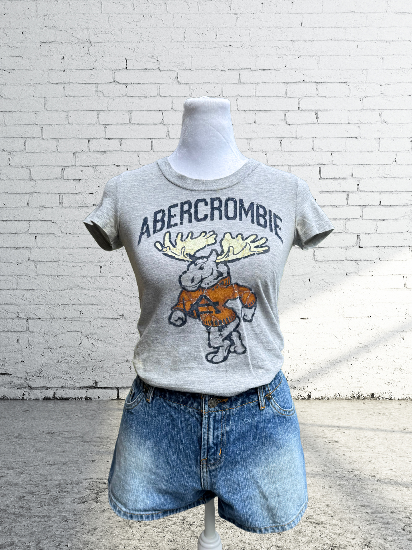 Vintage Y2K 2000s Abercrombie Baby Tee