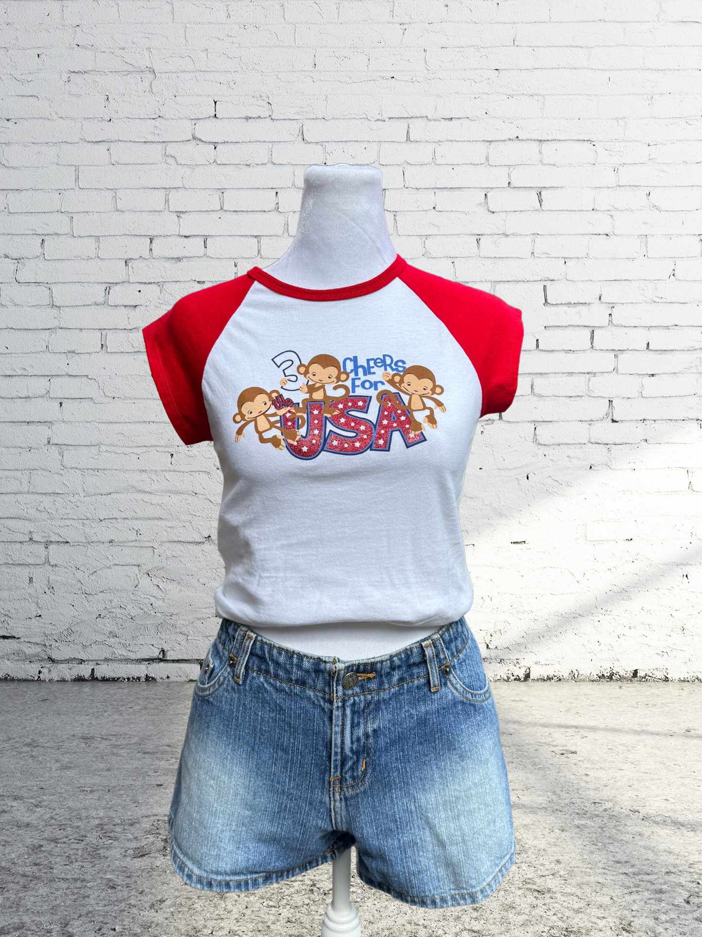 Vintage Y2K 2000s USA Baby Tee