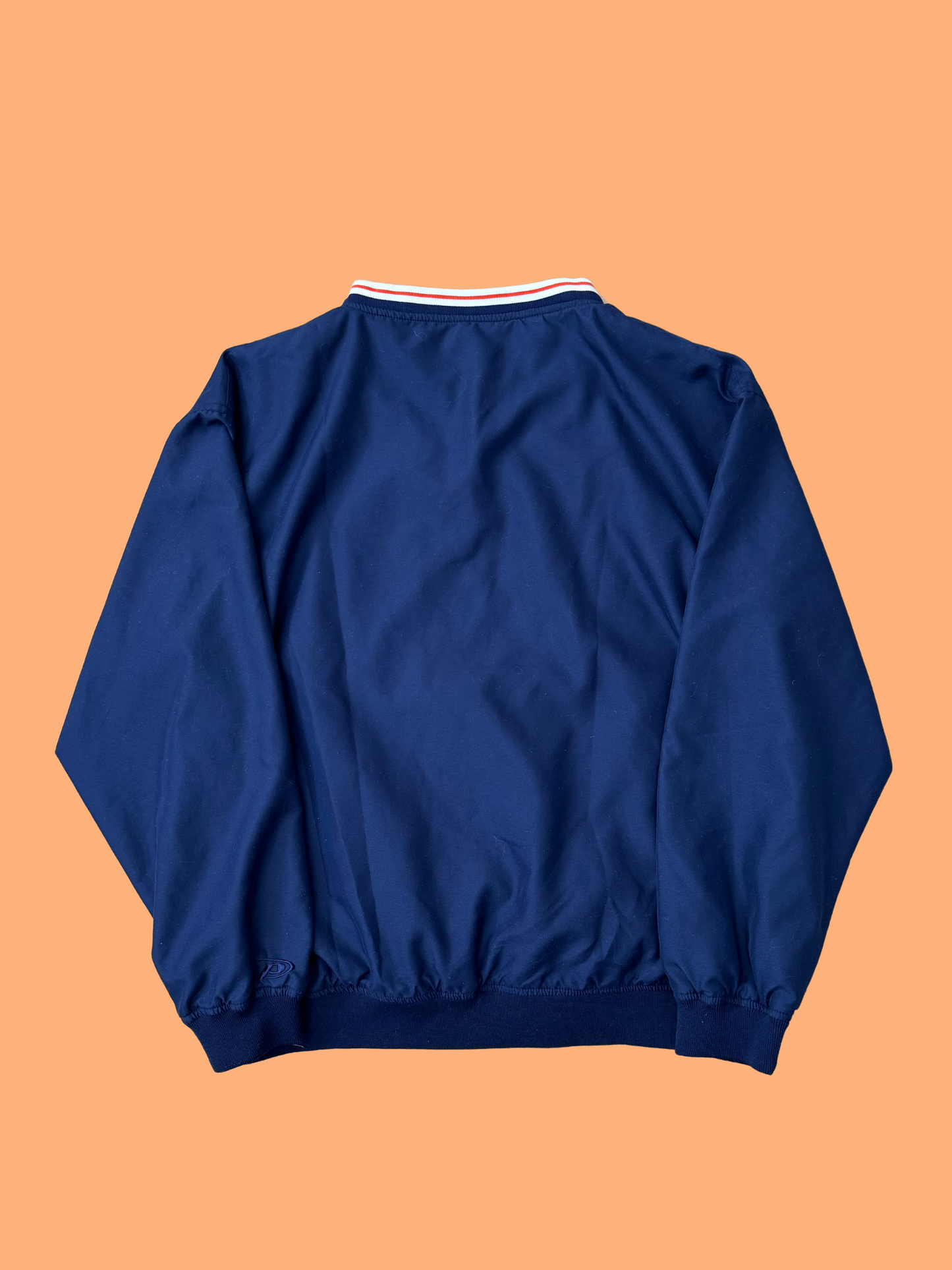 Vintage University of Illinois Windbreaker