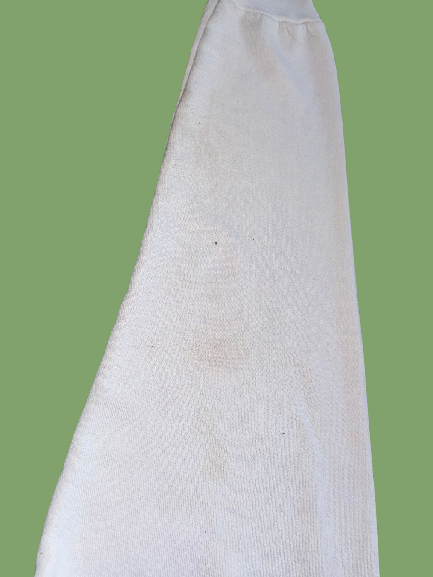 Vintage Disney Mickey and Minnie Mouse Hiking Crewneck