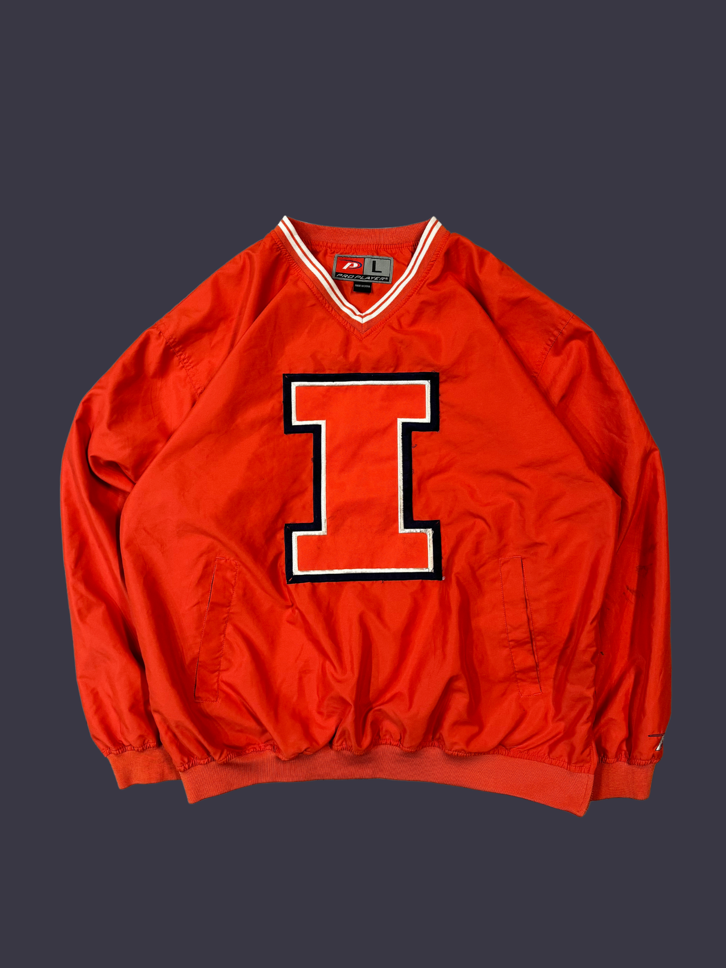 Vintage University of Illinois Windbreaker Crewneck
