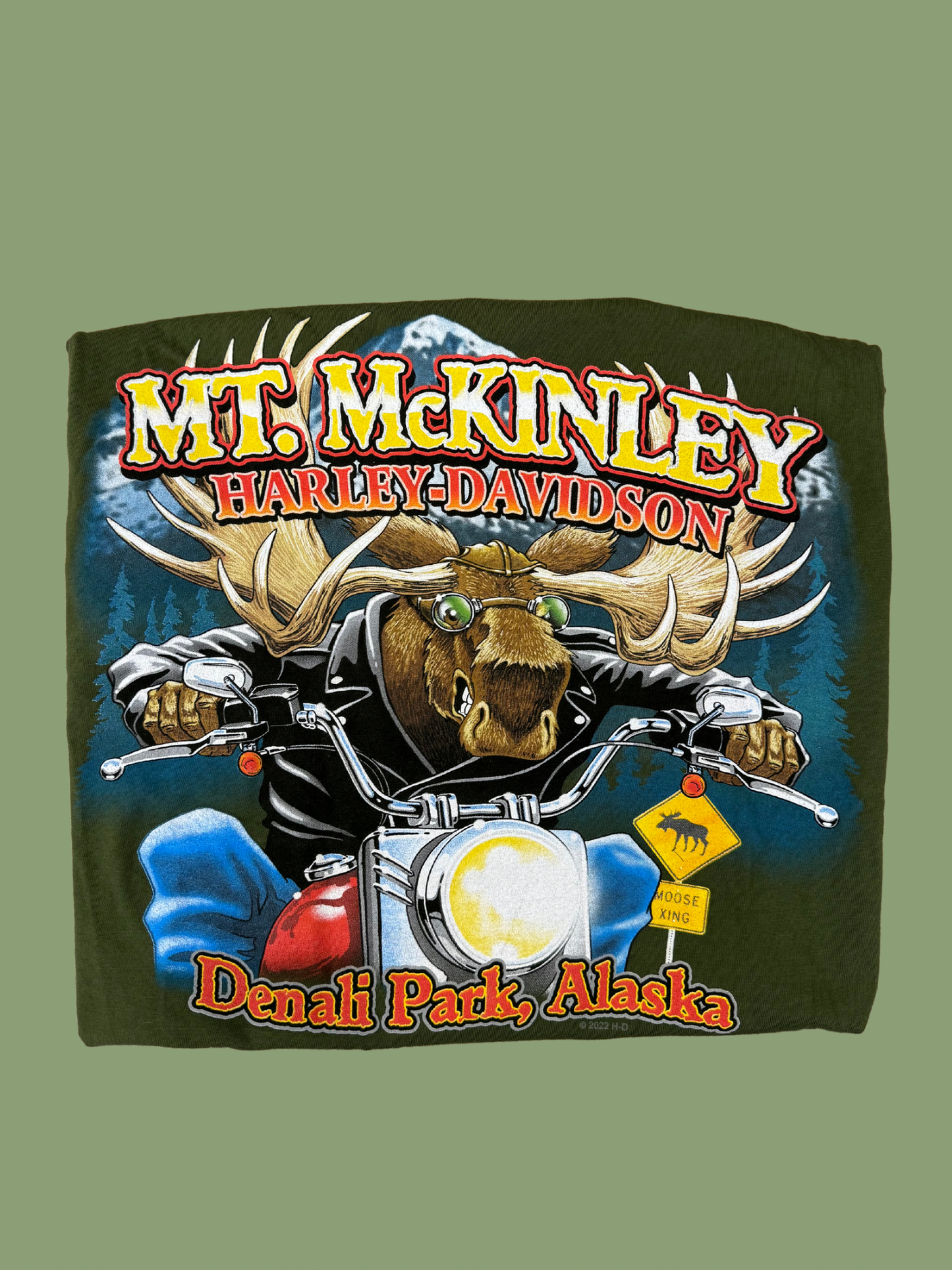 Harley Davidson T-Shirt: Denali Park, Alaska