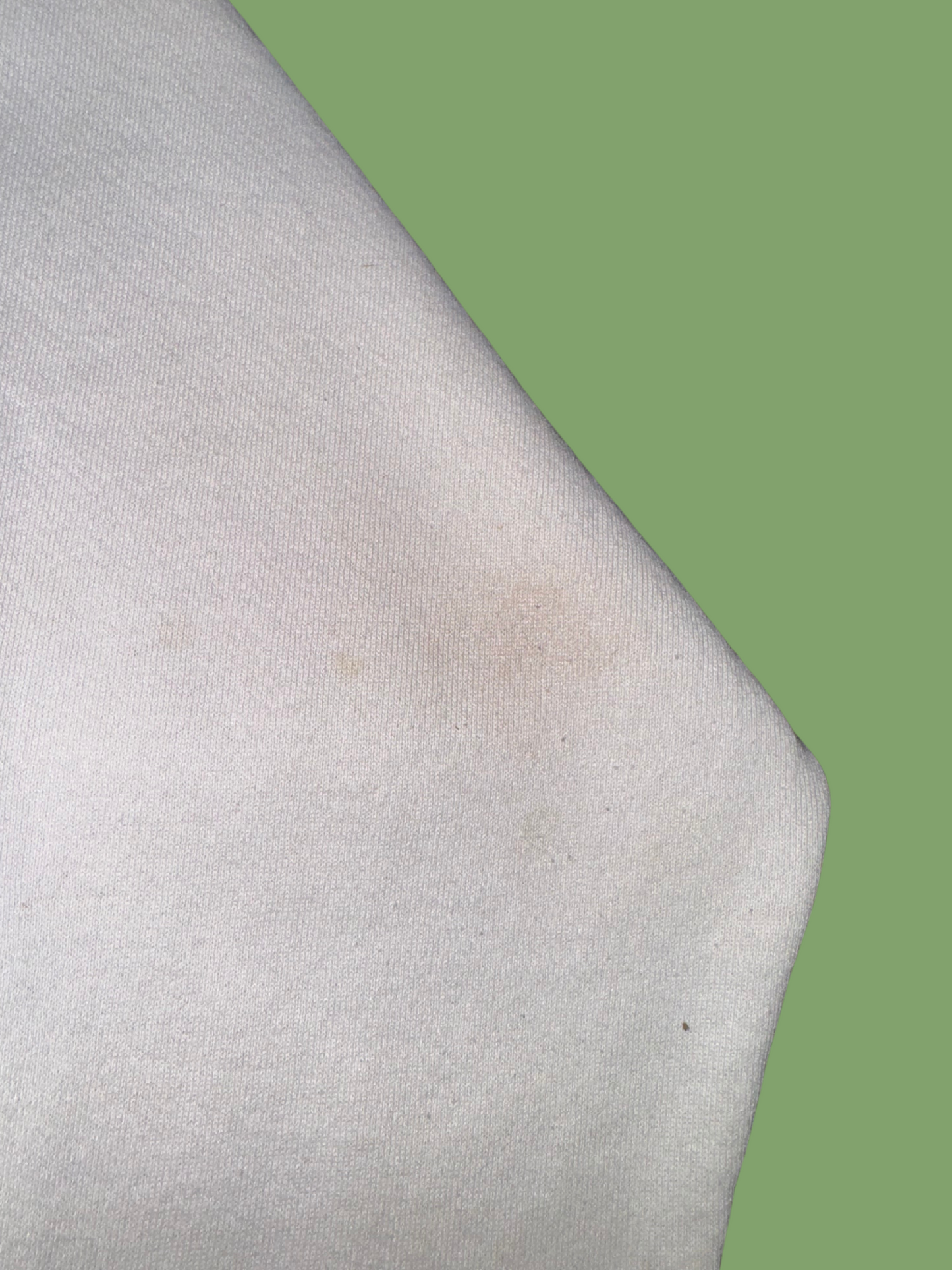 Vintage Disney Mickey and Minnie Mouse Hiking Crewneck