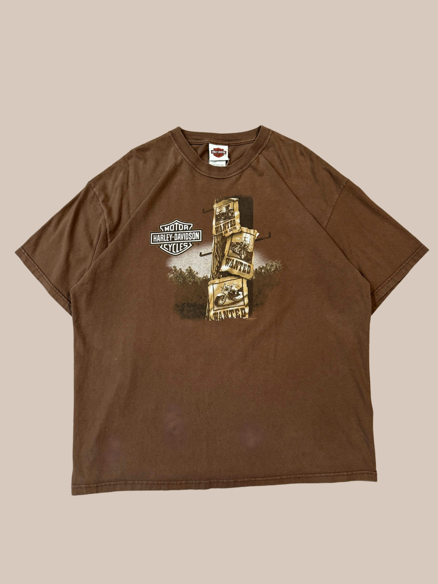 Vintage 2006 Harley Davidson T-Shirt: St. Louis, MO