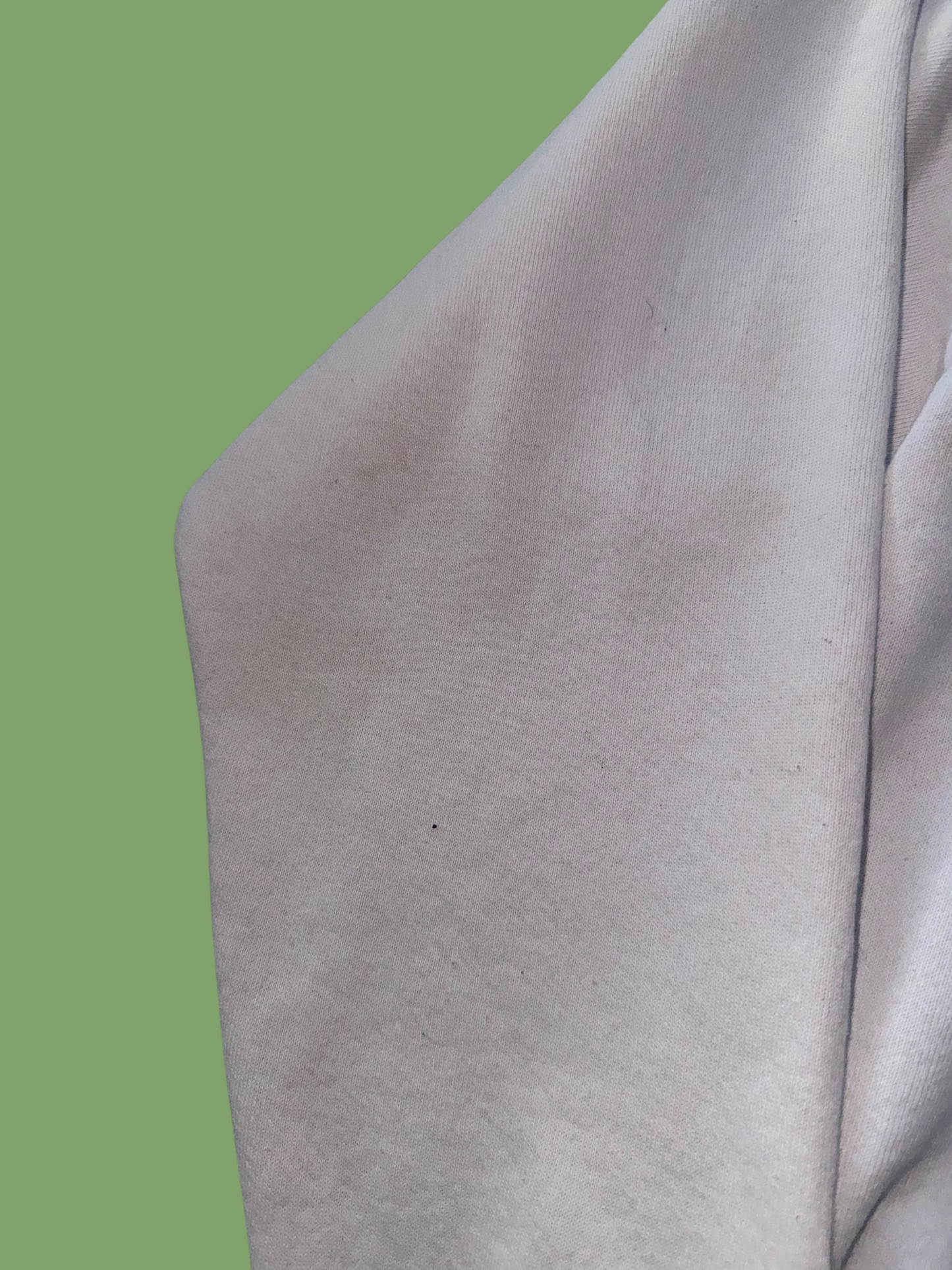 Vintage Disney Mickey and Minnie Mouse Hiking Crewneck