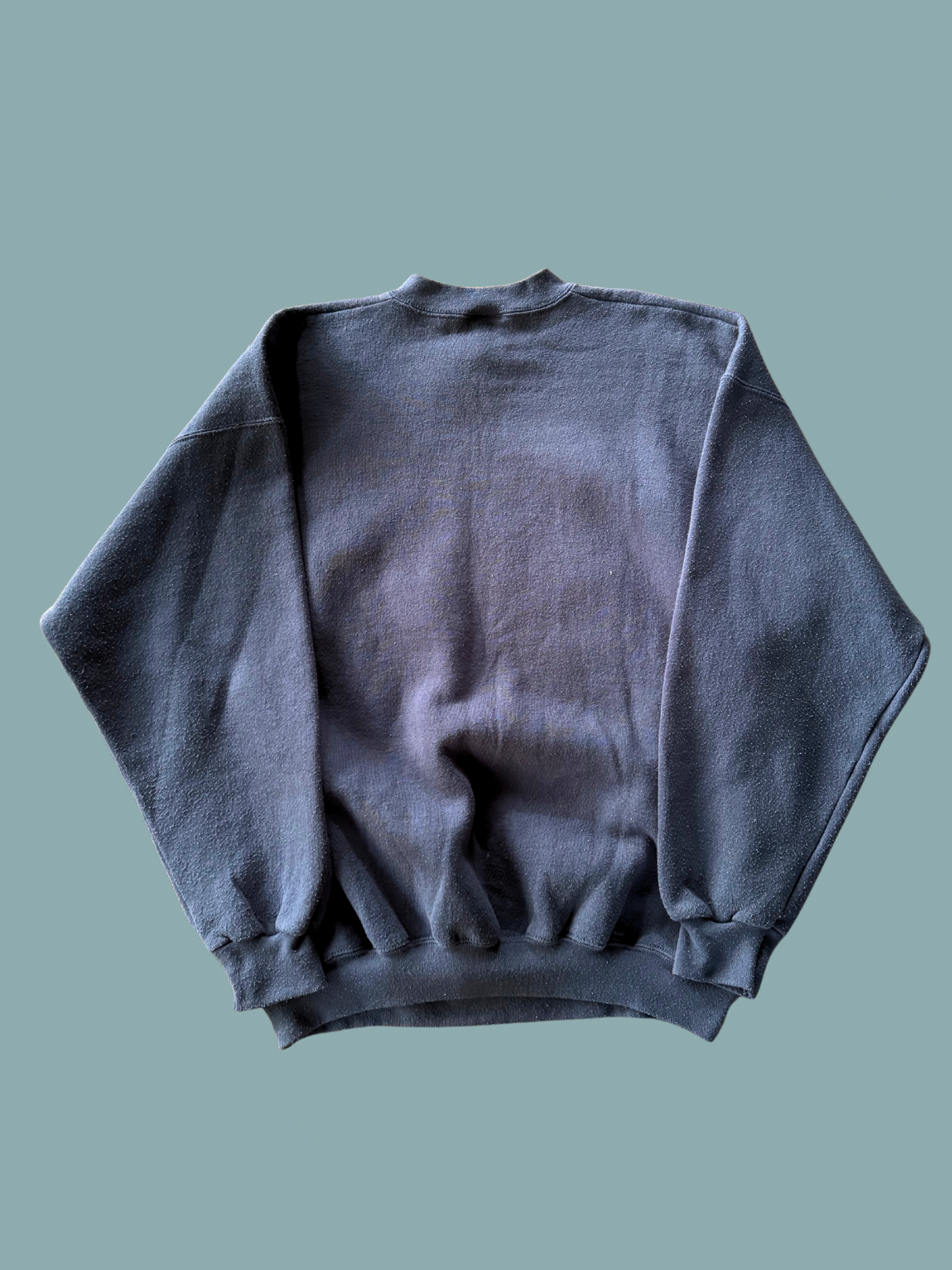 Vintage Sea World Crewneck