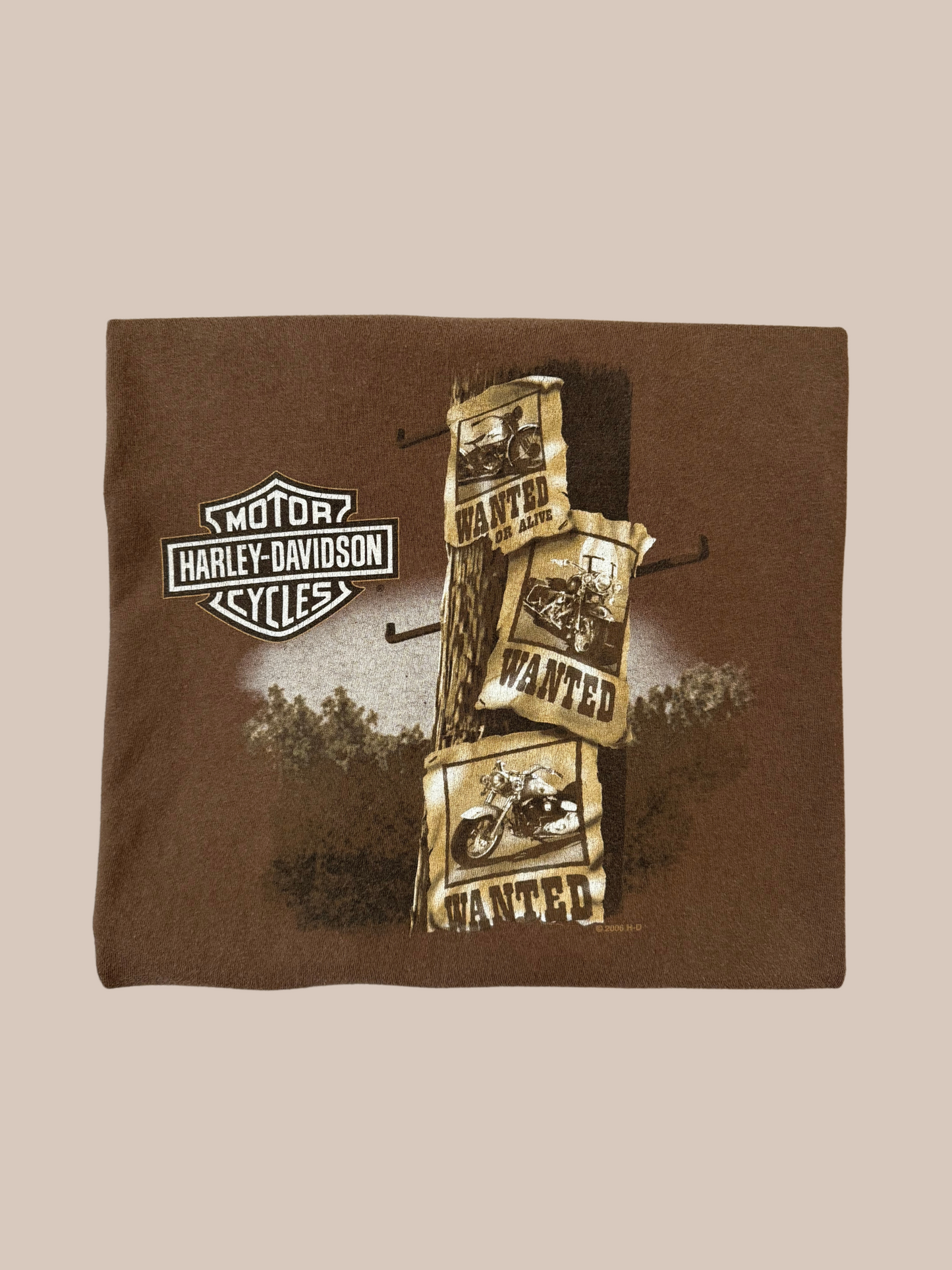 Vintage 2006 Harley Davidson T-Shirt: St. Louis, MO