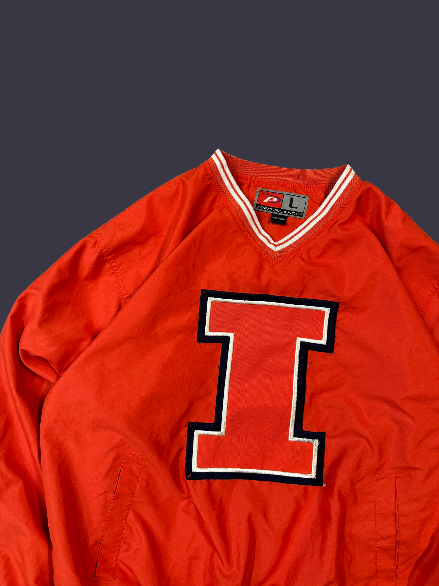 Vintage University of Illinois Windbreaker Crewneck