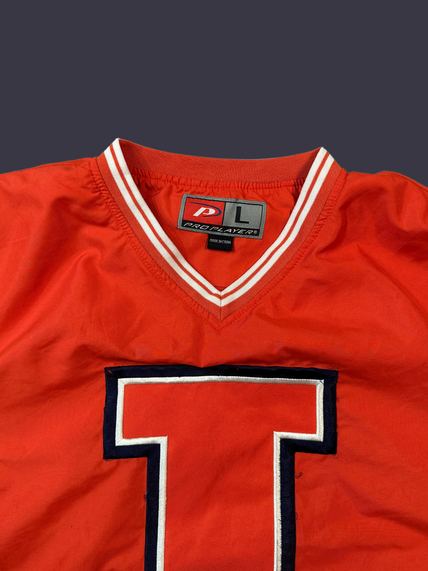 Vintage University of Illinois Windbreaker Crewneck