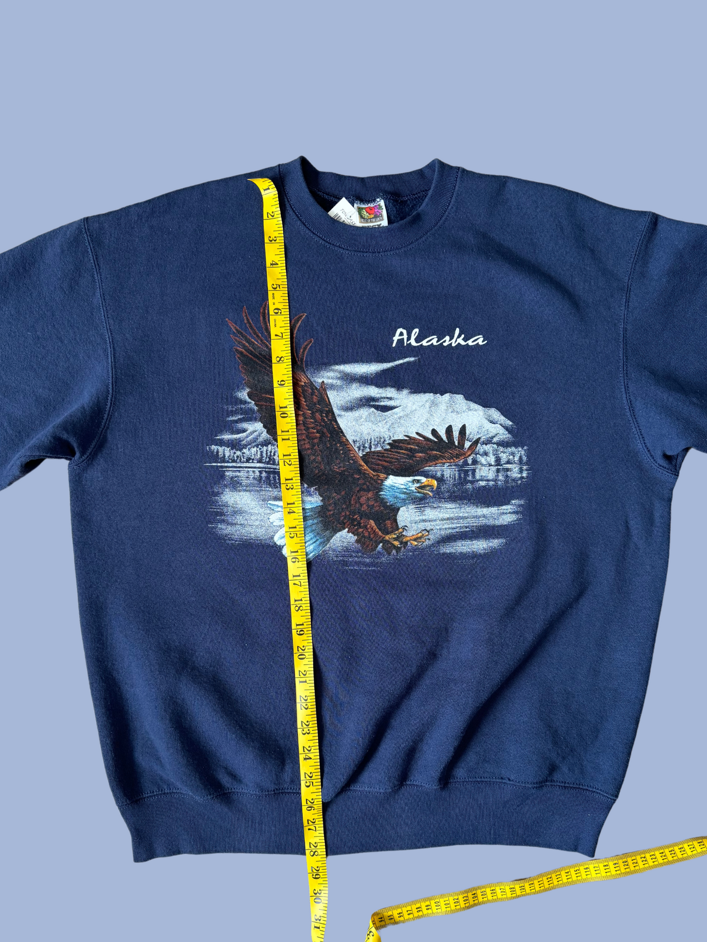 NWT Vintage Alaska Crewneck