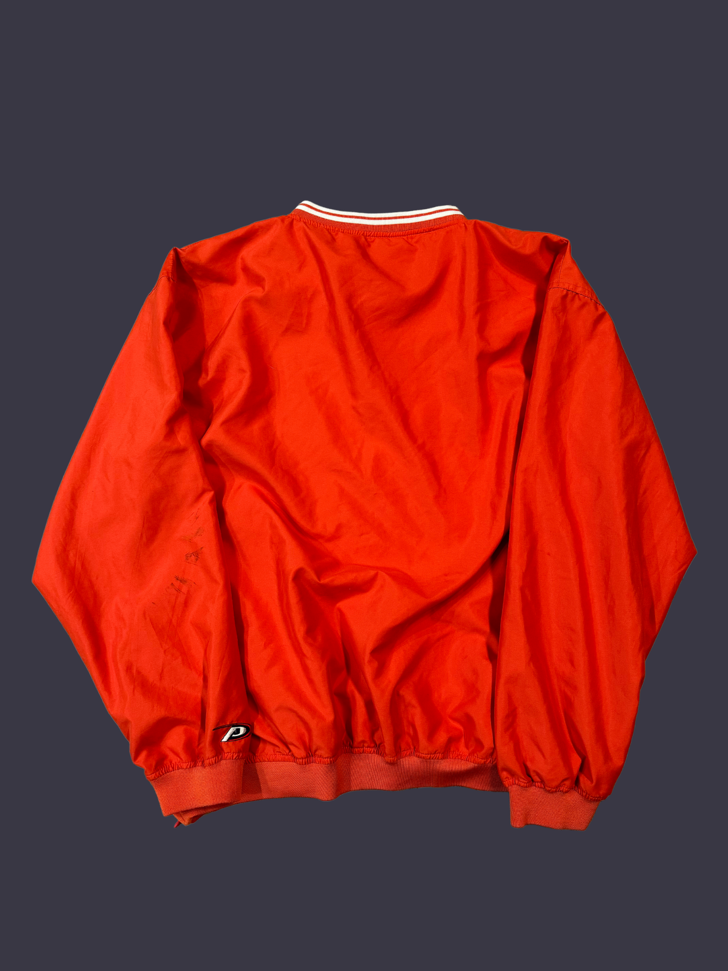 Vintage University of Illinois Windbreaker Crewneck