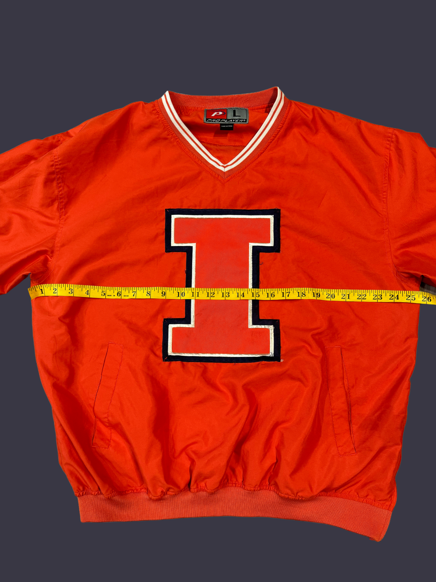 Vintage University of Illinois Windbreaker Crewneck