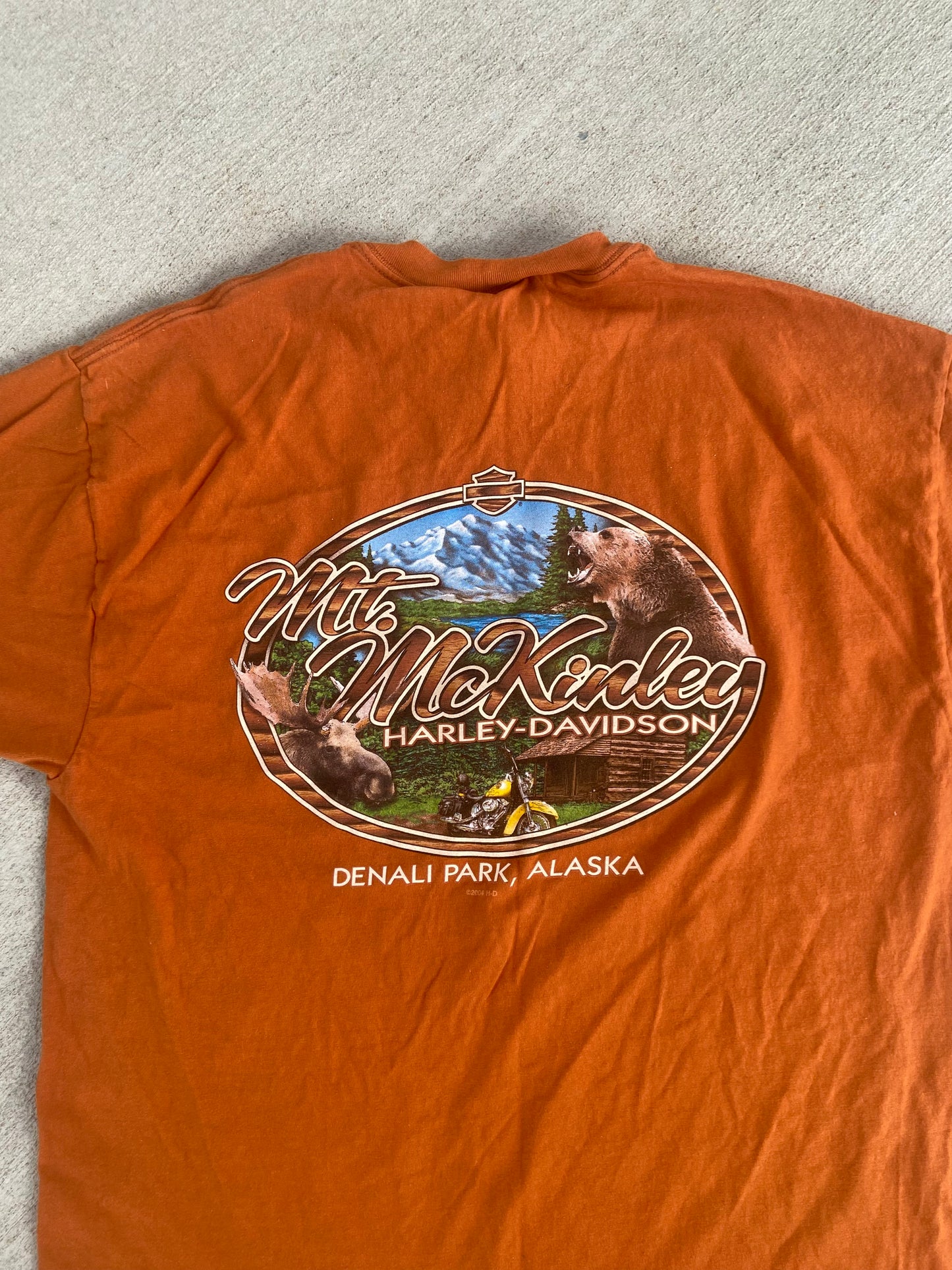 Vintage 2004 Harley Davidson T-Shirt: Denali Park, Alaska