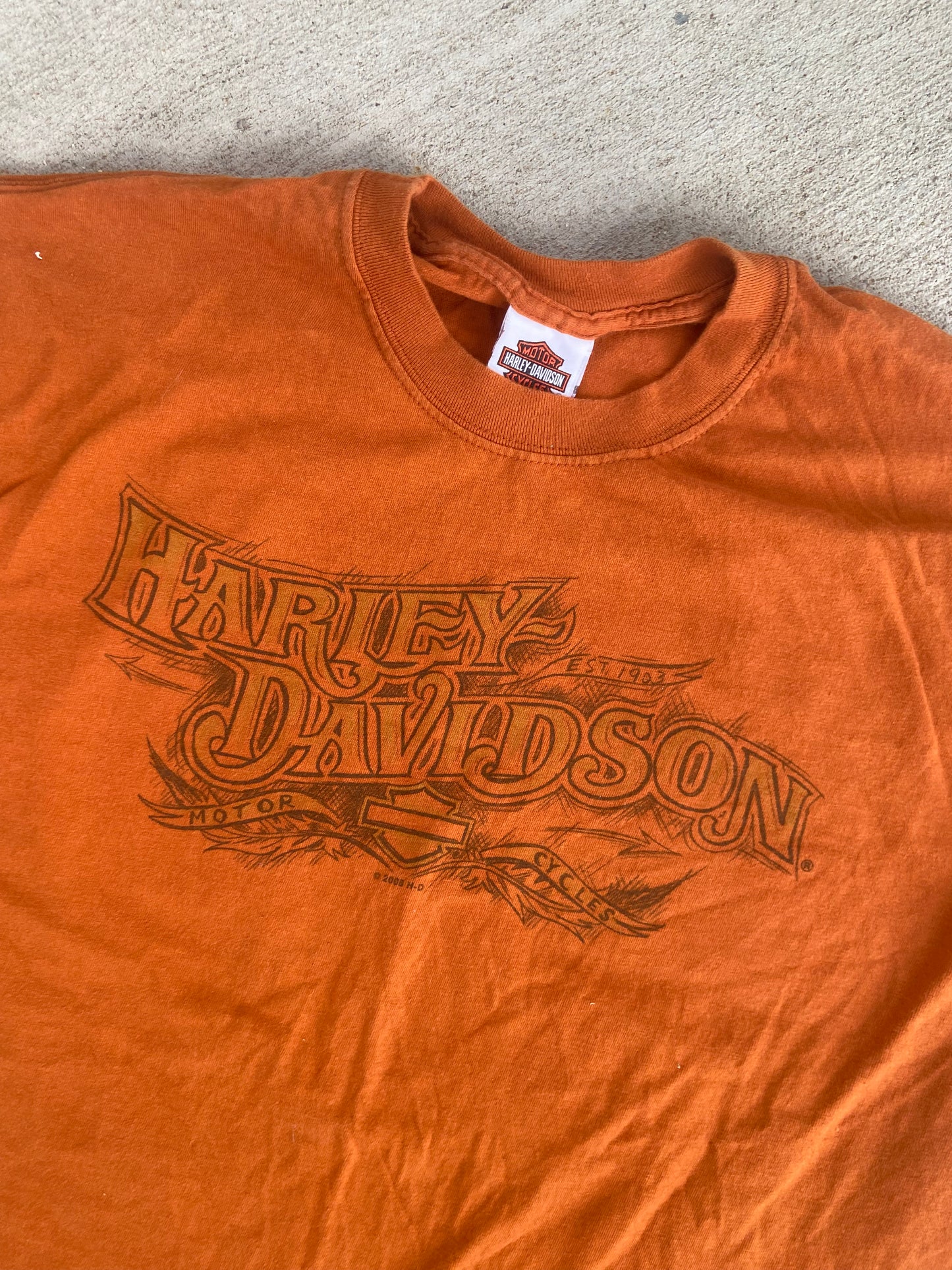 Vintage 2004 Harley Davidson T-Shirt: Denali Park, Alaska