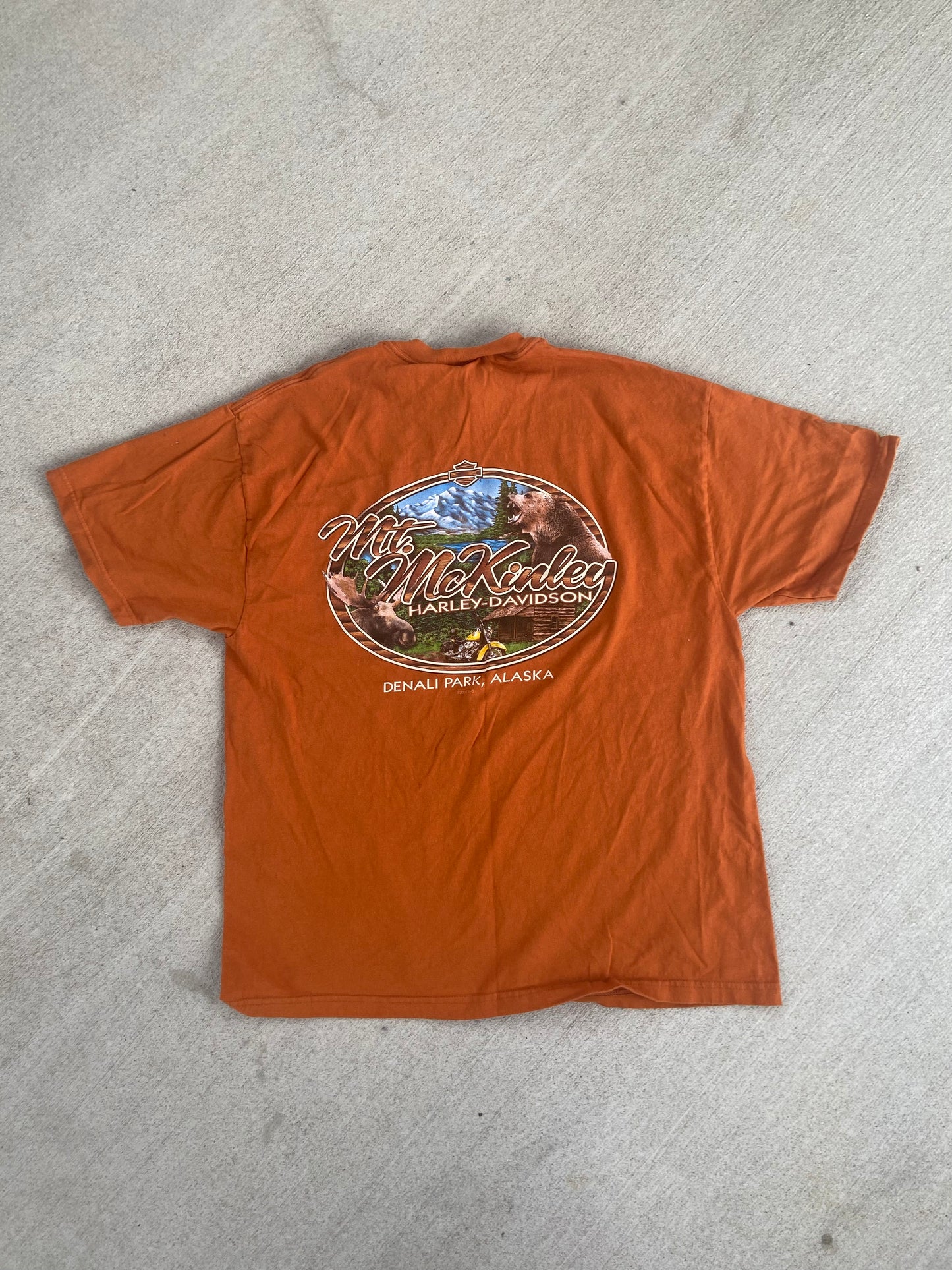 Vintage 2004 Harley Davidson T-Shirt: Denali Park, Alaska