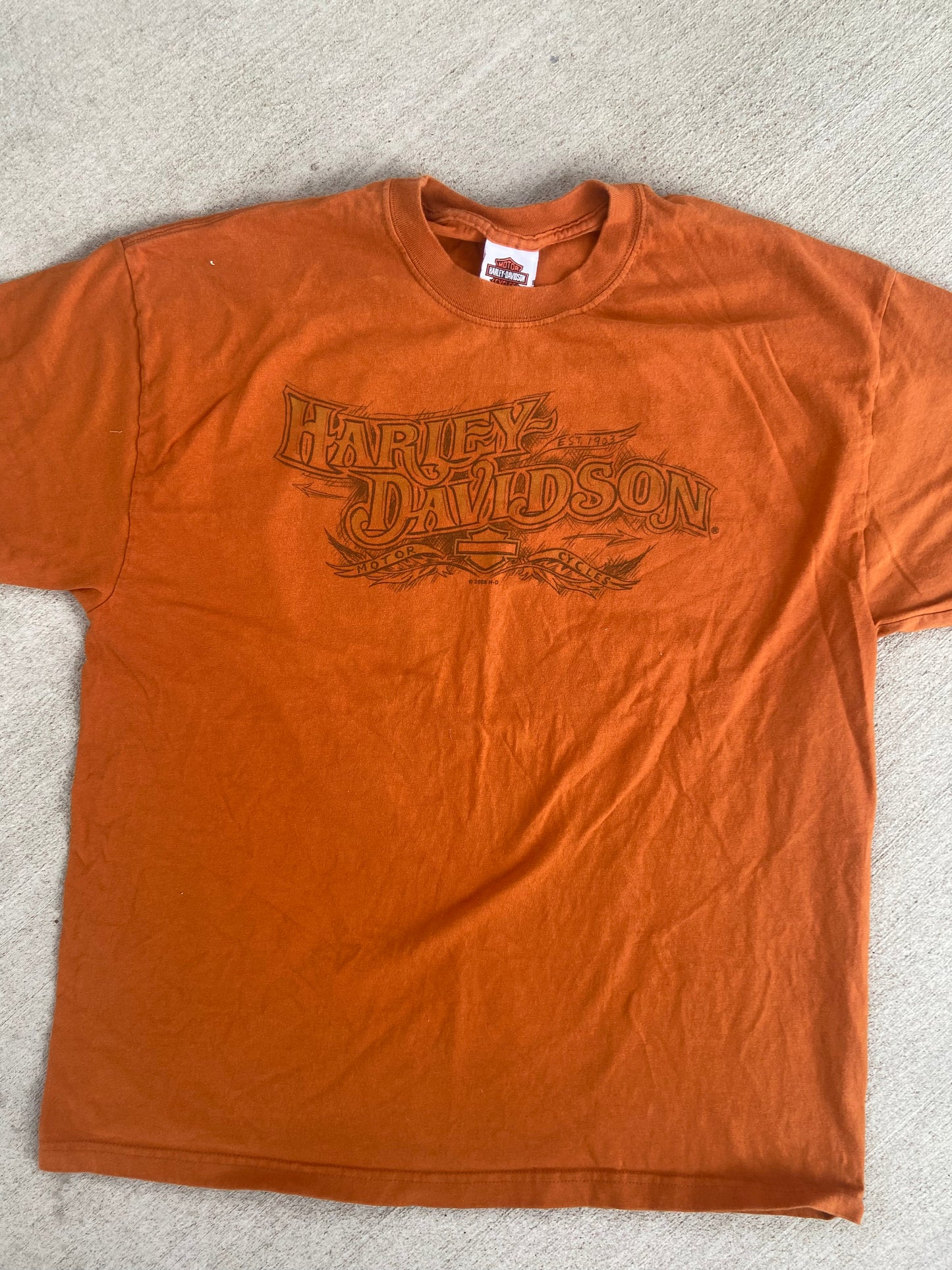 Vintage 2004 Harley Davidson T-Shirt: Denali Park, Alaska