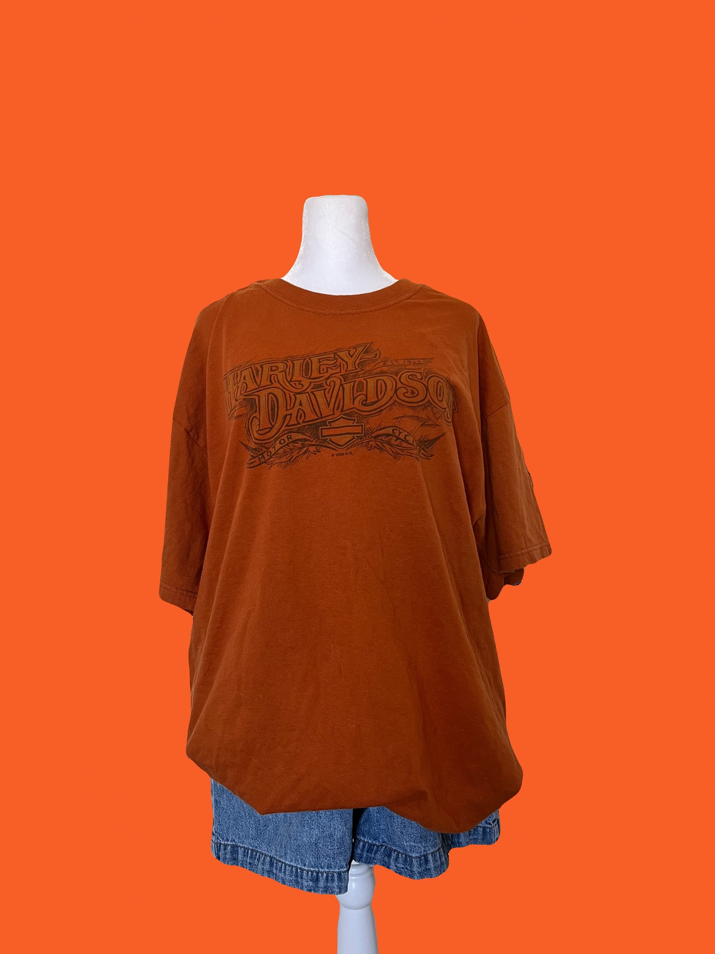 Vintage 2004 Harley Davidson T-Shirt: Denali Park, Alaska