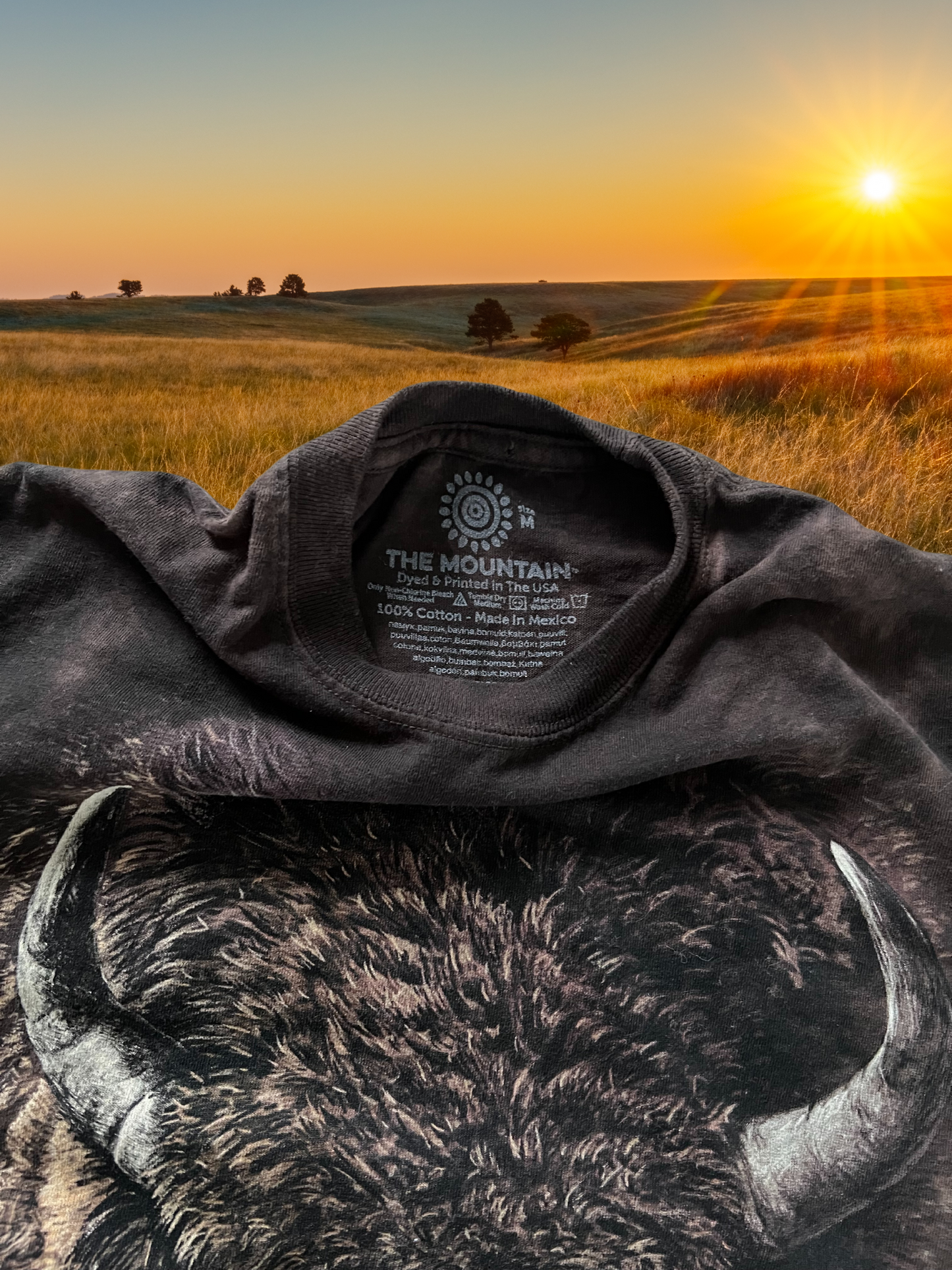 The Mountain Buffalo T-Shirt