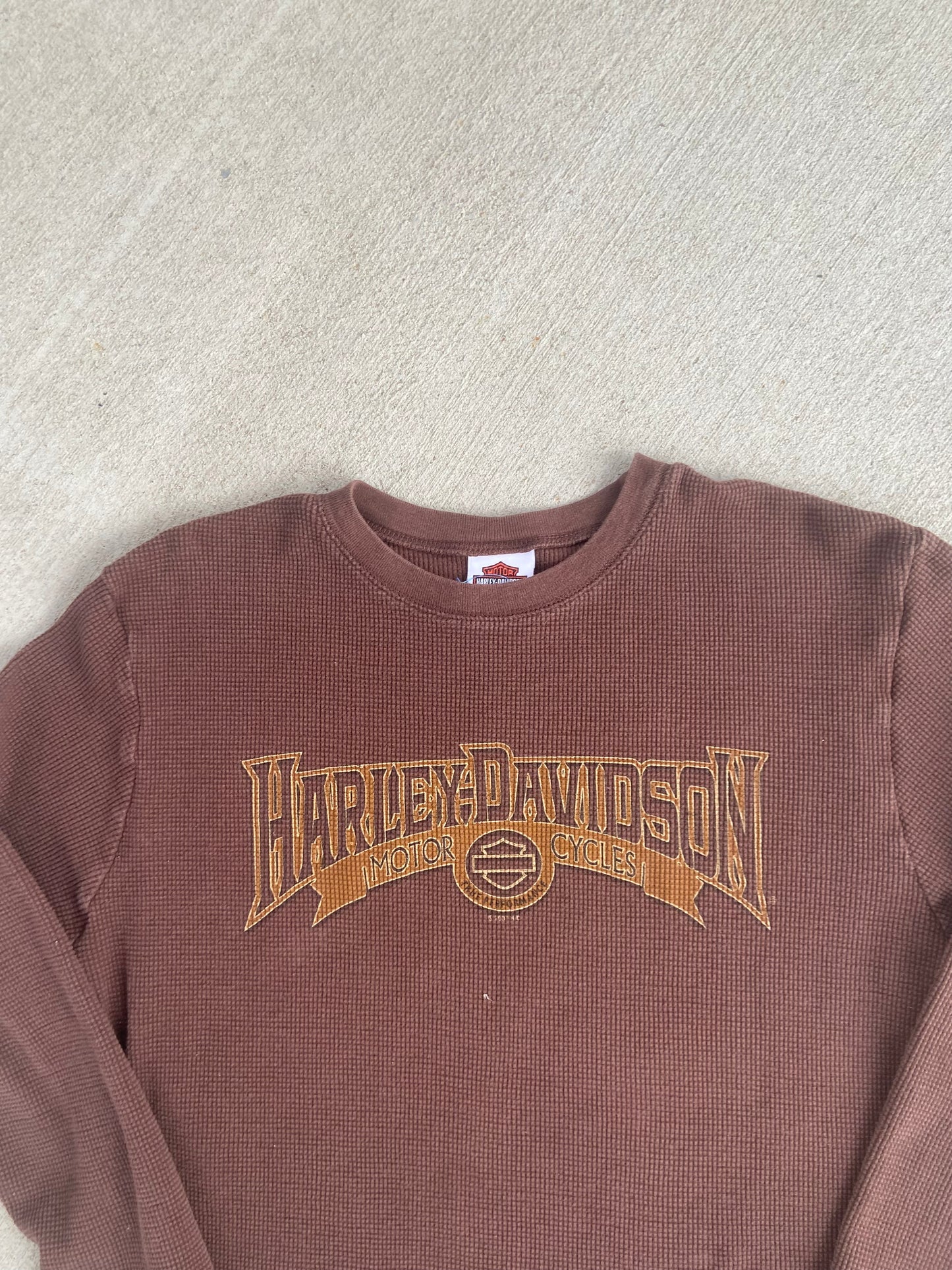 Harley Davidson “Smoky Mountains” Heavyweight Long Sleeve Tee Shirt