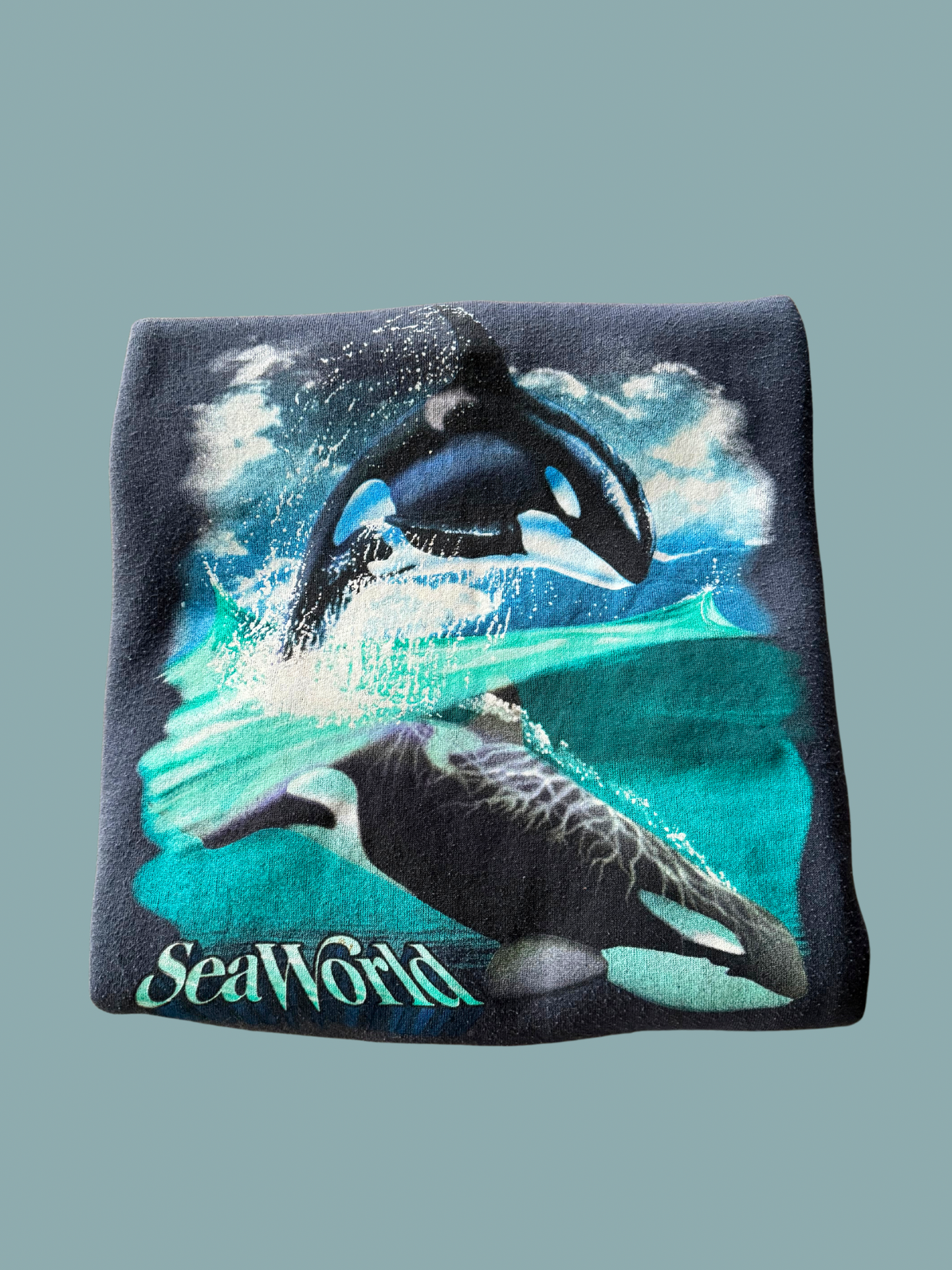 Vintage Sea World Crewneck